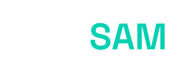 OneSAM